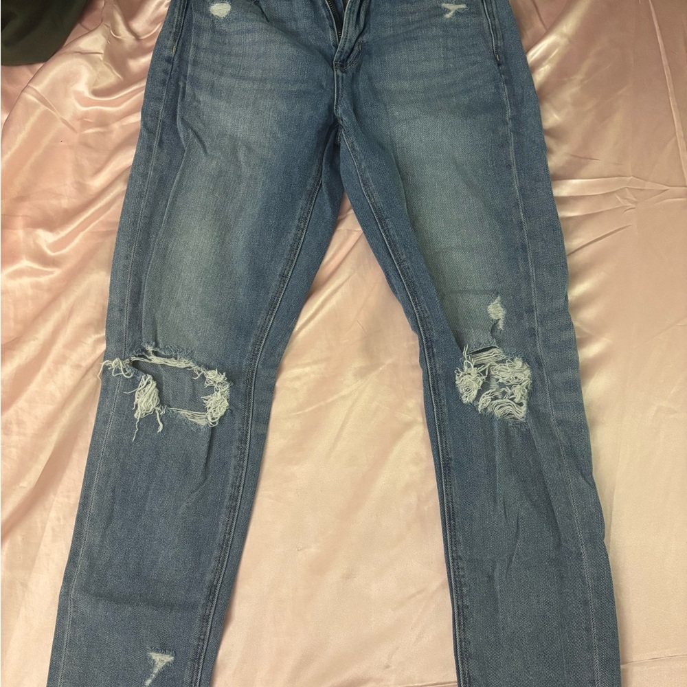 American Eagle Outfitters Blue Distressed Skinny Jeans